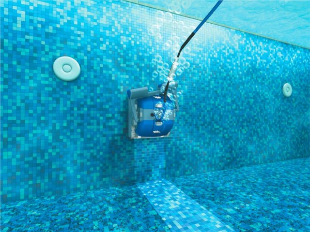 Dolphin M500